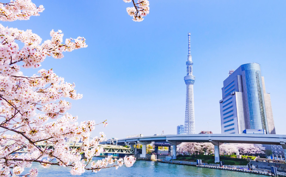 Tokyo airasia promotion 2026