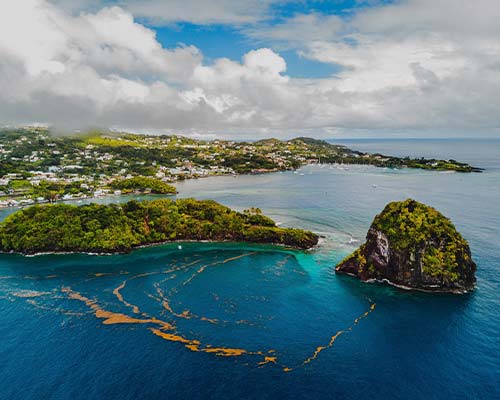 Saint Vincent & the Grenadines