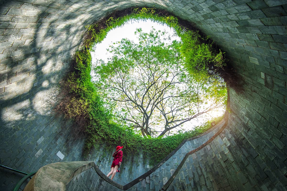 Solo Travel in Singapore