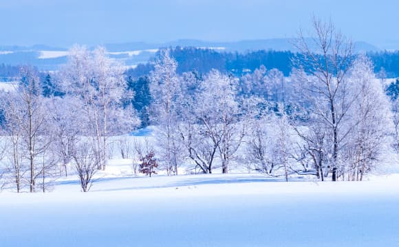 Sapporo
