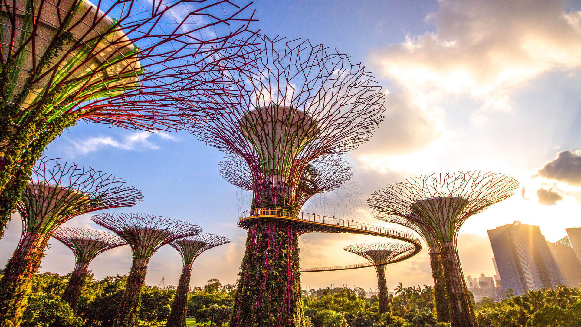 Singapore Travel Guide