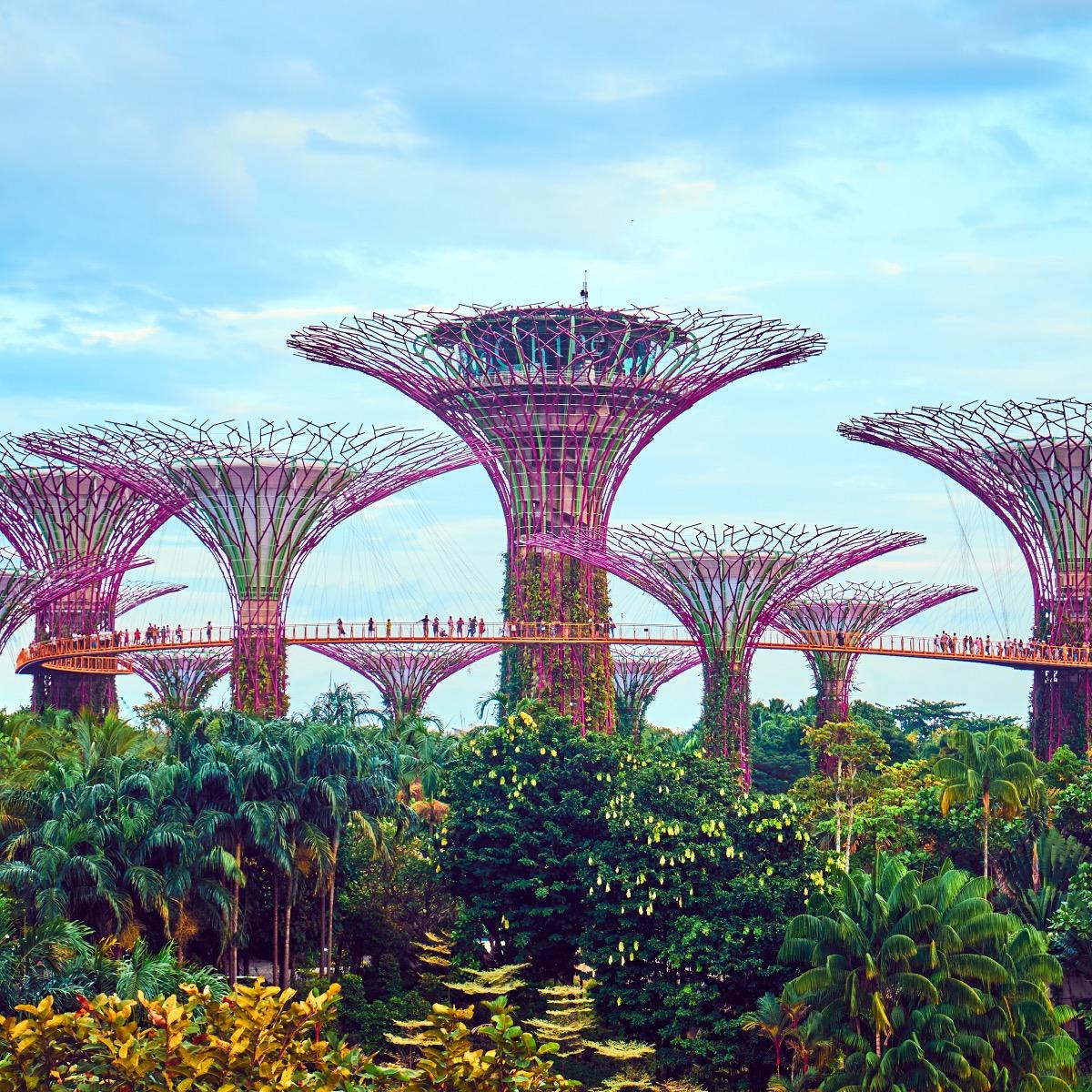Gardens by the Bay