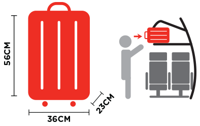 1 cabin baggage