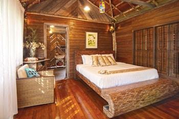Fig Tree Hill Resort
